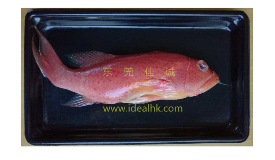 新鮮魚(yú)真空包裝樣例